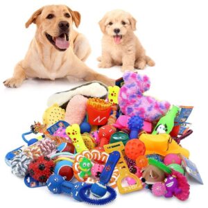 Animals accessories